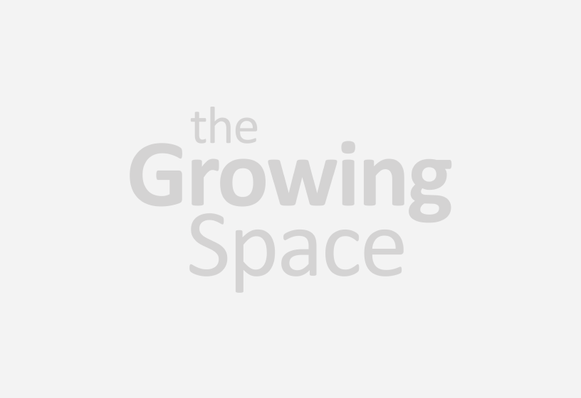 noimage Aging Boldly